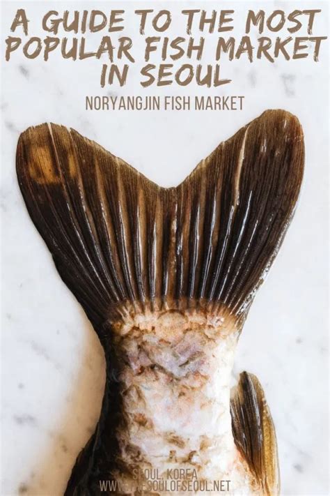 Noryangjin Fish Market: A Guide For What To See & What To Order.